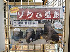 【三朝温泉〔桶屋旅館〕(鳥取・三朝町)】~かけ流しの湯~ & ~ ゾウ 温泉~♪