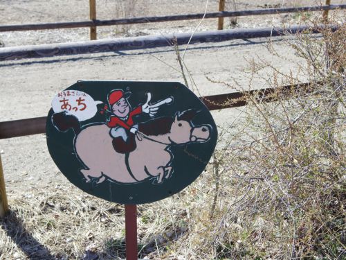 温泉旅と楽天トラベル