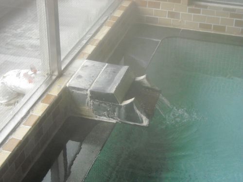 僕が温泉ブログを書く理由