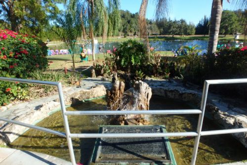 【フロリダで温泉?】Warm Mineral Springs