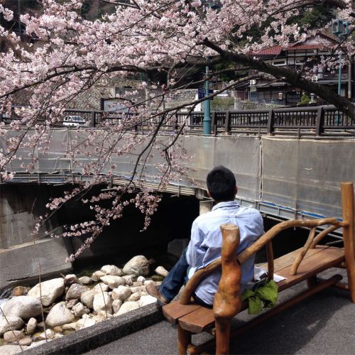 【三重県 / 湯の山温泉 / 湯の山グリーンホテル】春にこそ行きたい。お花見風呂が楽しめる湯の山温泉