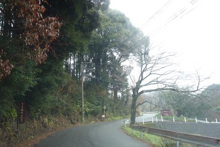 嬉野温泉ランチ|椎葉山荘の「お食事処 山法師」と「しいばの湯」(佐賀県嬉野市)