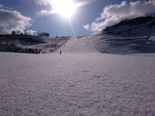 松之山温泉スキー場 今シーズンの営業終了です