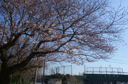 雲仙 富貴屋のレストラン懐火亭ランチと、日帰り温泉(雲仙市小浜町)