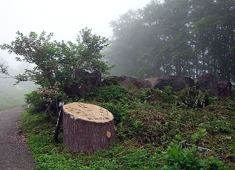 無料で入れる新潟山奥の硫黄プンプン野天風呂!燕温泉「黄金の湯 露天風呂」(新潟妙高)