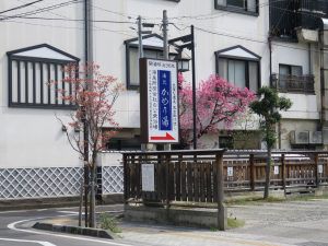 上山田温泉 かめ乃湯
