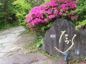 明治時代から残る秘湯を見つけた！人吉温泉たから湯／熊本県人吉市