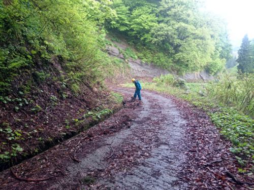 松之山温泉の遊歩道が歩行可能となりました!!