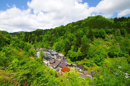 新緑の松之山温泉街