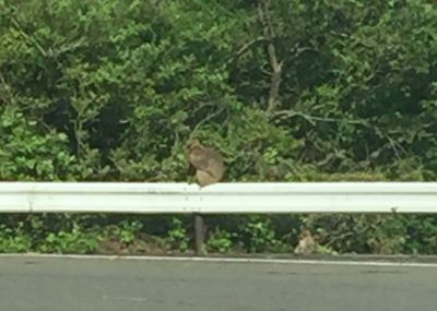 那須塩原温泉〜マニアックで笑える