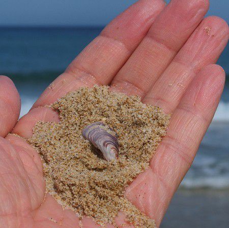 1泊2日プチ湯治・・・温泉津温泉+周遊、後編