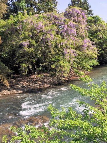 俵山温泉「町の湯」