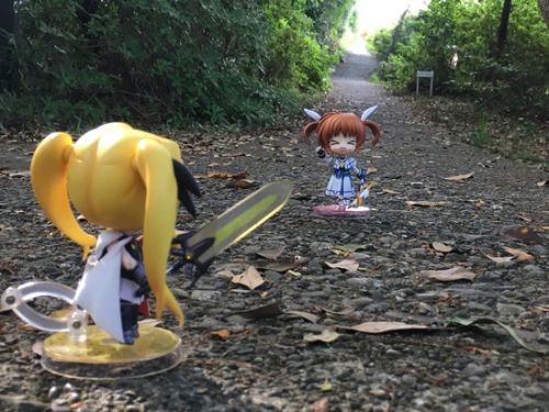 Bunkle社員旅行記:南紀勝浦温泉へ!その2 南紀勝浦温泉 ホテル中の島のはなし