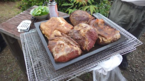 ひよっこ温泉アイドルが行く!「佐竹ひなの愛コン日記」伊豆のコテージでBBQ体験編