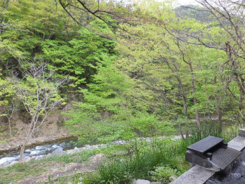 群馬県 谷川温泉 別邸 仙寿庵6('A`)パブリックその2