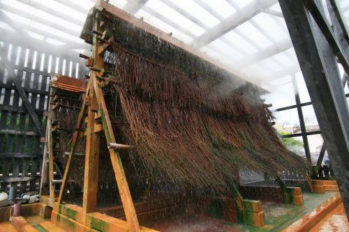 【別府市】鉄輪温泉 ひょうたん温泉~圧倒的湯量と湯雨竹が織りなす大規模温泉施設