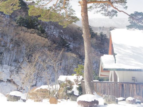 1月の温泉旅