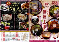 別所温泉の紅葉情報:D