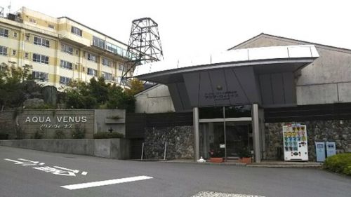 新那須温泉「ホテルサンバレー那須」(22)日帰り入浴★イルミネーション★島根バイキングフェア開催中! 〔栃木県那須町〕
