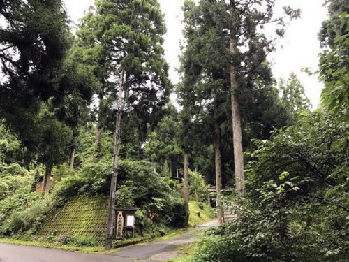 新栃窪温泉 あばれ井戸の湯