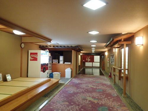 小川温泉・小川温泉元湯 ホテルおがわ~徒歩10分の絶景露天風呂