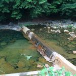 尻焼温泉 川の湯 露天風呂 日帰り入浴 ★★★★