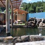 京塚温泉 しゃくなげ露天風呂 日帰り入浴 & きく豆腐店 ★★★