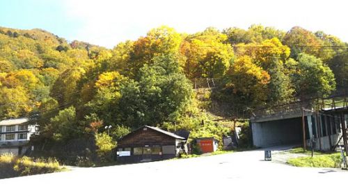 志賀高原(9)紅葉速報2★金色に輝く秘境、発哺(ほっぽ)温泉と東館山ゴンドラリフト 〔長野県山ノ内町〕