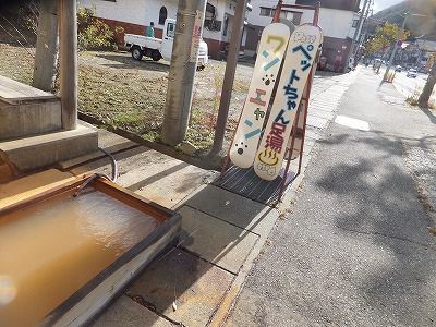 苗場温泉の雪ささの湯足湯を堪能