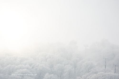 野沢温泉スキー場に積雪(今シーズン2回目)