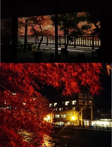 11月12日 塩原温泉紅葉情報