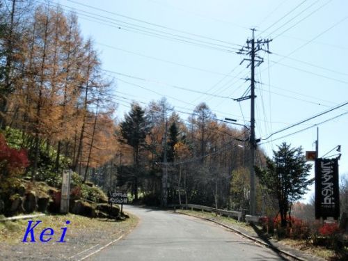 蓼科高原・芹ケ沢温泉『四季の宿すばる』(1)内湯編。芹ケ沢温泉とは? 〔長野県茅野市北山〕