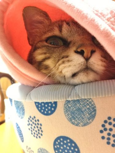 温泉でほっこり♪