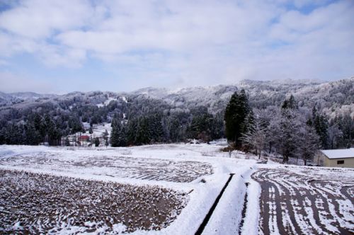 鷹じゃなくても見つけられる松之山温泉