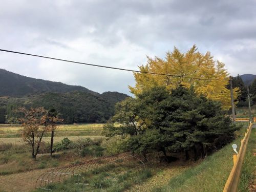 下関にて 蕎麦と温泉の充実日帰り旅 プランド by ヨッサン