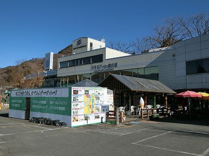 群馬、五つ星ホテルに泊まろう! 四万温泉「温泉三昧の宿 四万たむら」