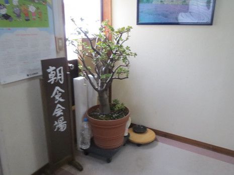 巣郷温泉 静山荘(5)