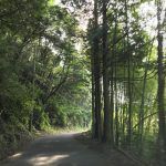 【下田】観音温泉 日帰り入浴 ★★★