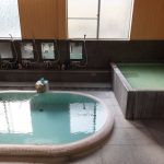 紫尾温泉 旅館 しび荘 日帰り入浴 ★★★★