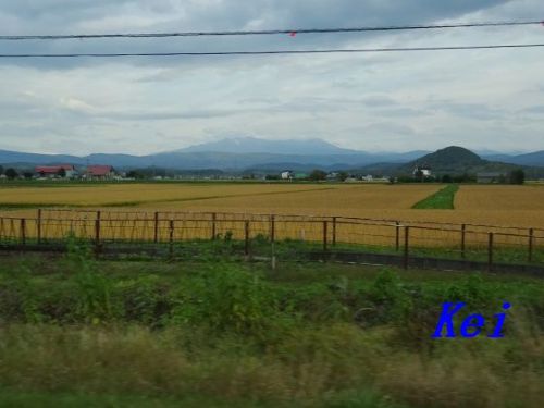 層雲峡温泉「ホテルノーザンロッジ」(1)路線バスで夜の層雲峡へ 〔北海道上川町〕