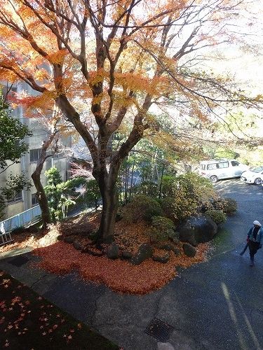 湯河原温泉オーベルジュ湯楽 2017年12月(3)