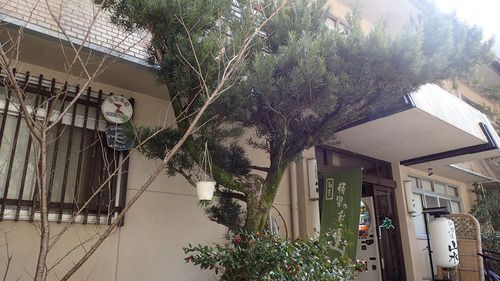 十津川温泉・静響の宿 山水~秘境に湧く掛け流し温泉を小宿で・その1