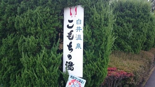 白井温泉 こもちの湯