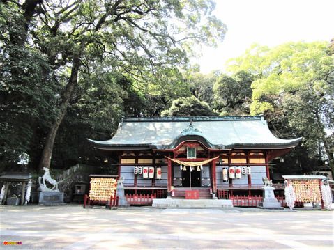 大分県 八幡朝見神社 別府八湯温泉まつり限定御朱印