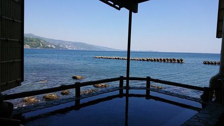網代温泉と海鮮丼