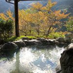 新祖谷温泉 ホテルかずら橋 ★★★+