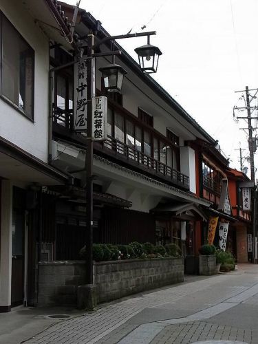 下呂温泉 中野屋旅館(下呂市)
