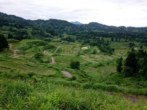 温泉むすめ「松之山棚美」デビュー!