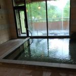 霊泉寺温泉 和泉屋旅館 日帰り入浴 ★★★