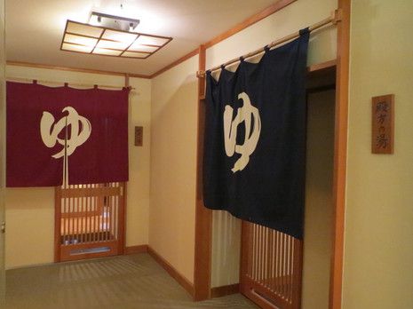 鬼怒川温泉 きぬ川 不動瀧(3)